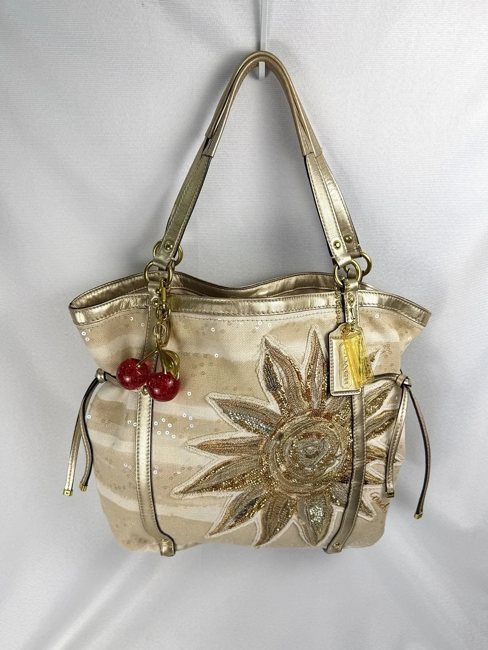 Coach Audrey Sun Limited Edition Shoulder Bag (19577)